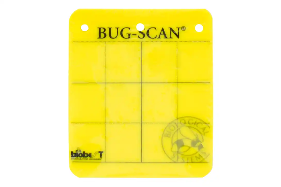 Pièges Bug-Scan Mini jaunes 10 x 12,5 cm